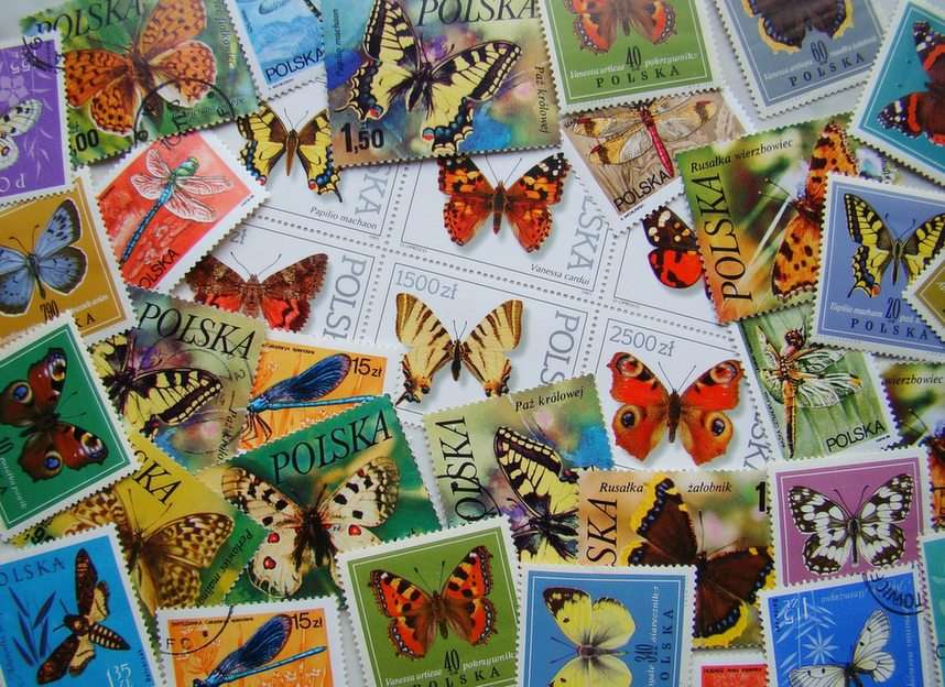 Motyle po polsku puzzle online ze zdjęcia