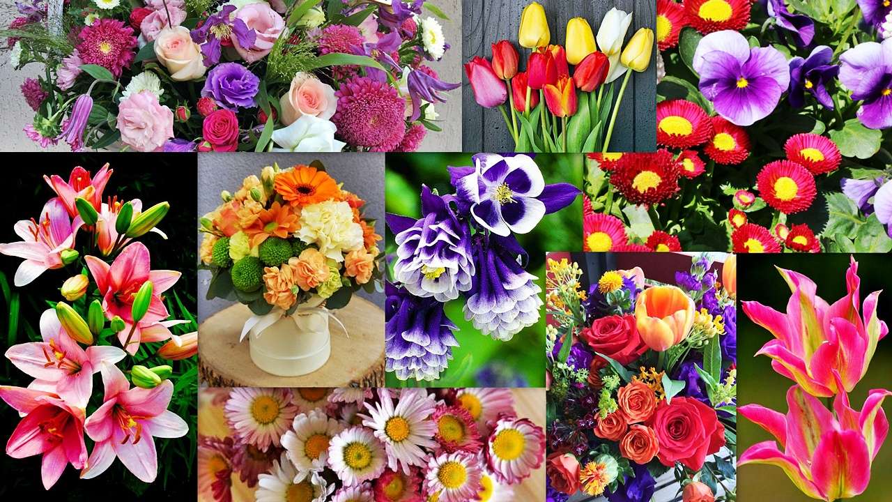 Kwiatowy Mix puzzle online ze zdjęcia