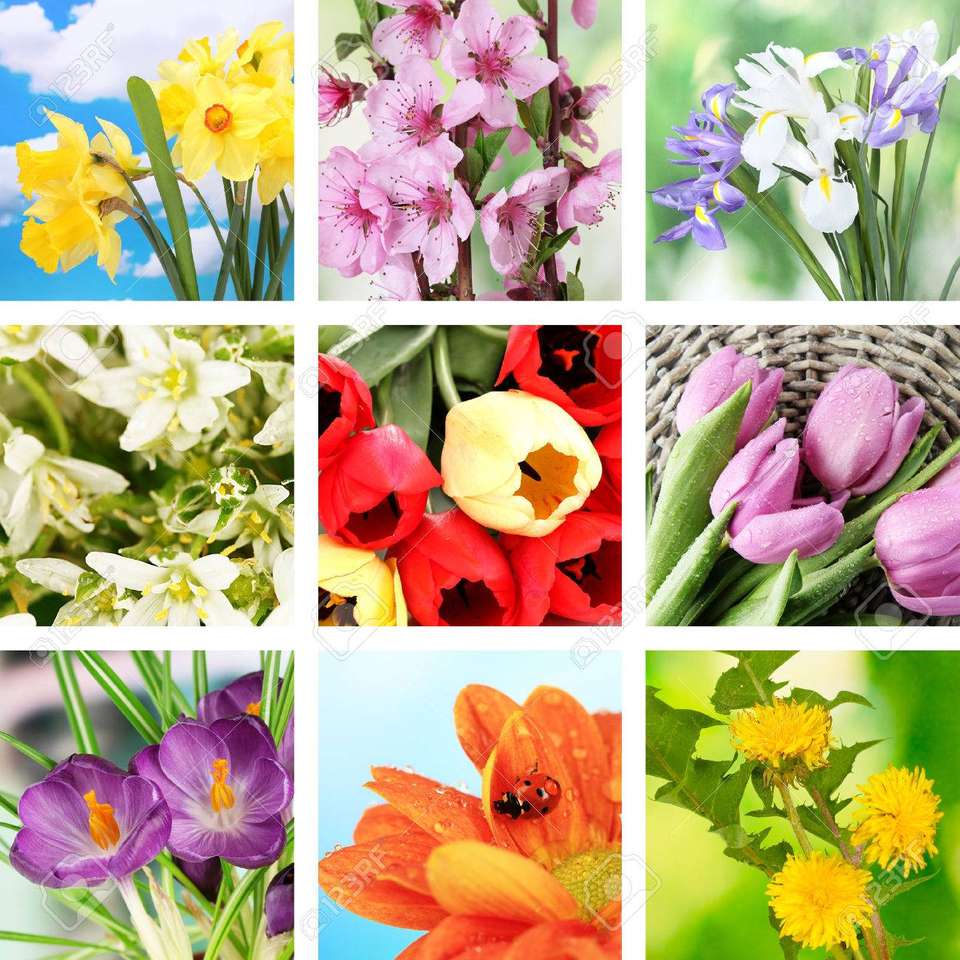 Kwiaty - wiosennie puzzle