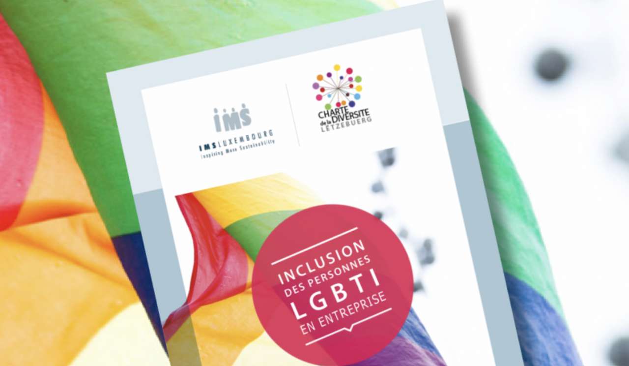 Test Puzzle LGBTI IMS Luxembourg puzzle online ze zdjęcia