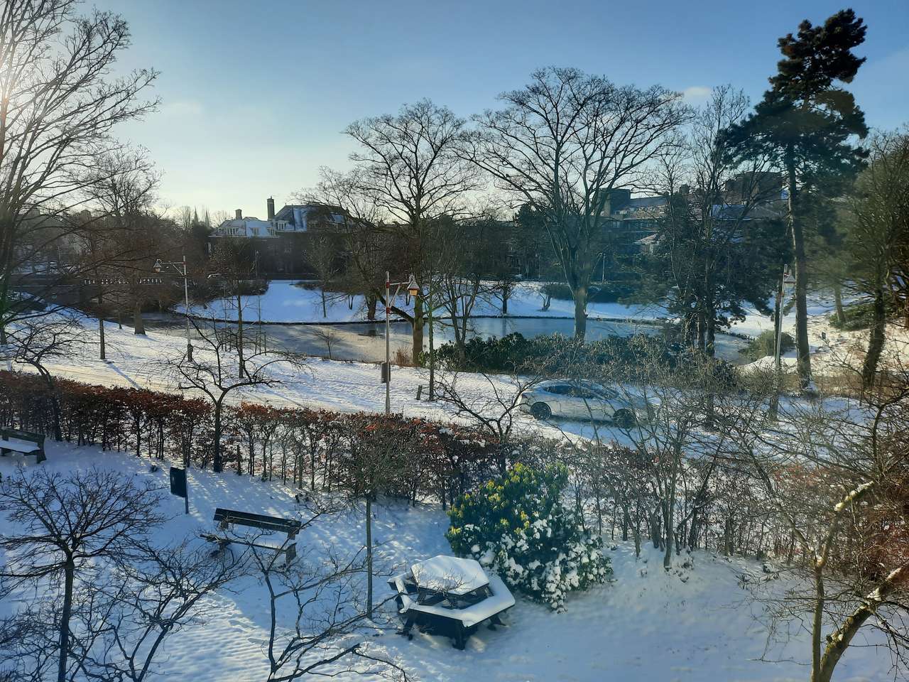 Sorghvliet Winter puzzle online ze zdjęcia