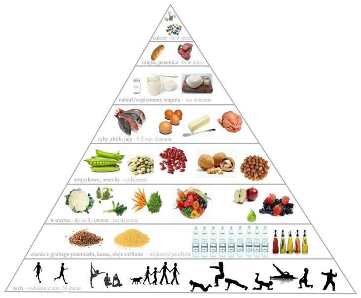 piramida żywienia puzzle online ze zdjęcia