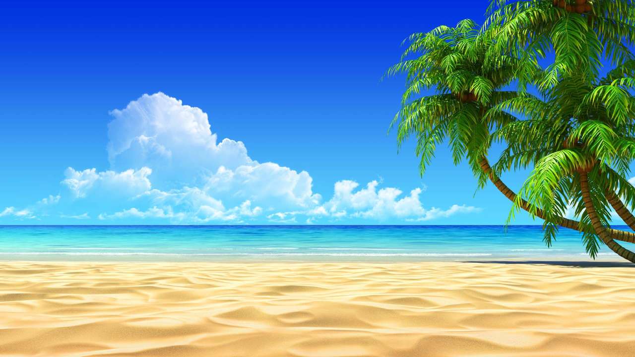 słońce plaża morze palmy puzzle ze zdjęcia