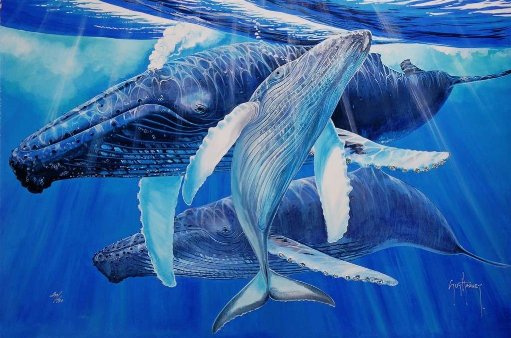 wieloryby w wodzie puzzle online