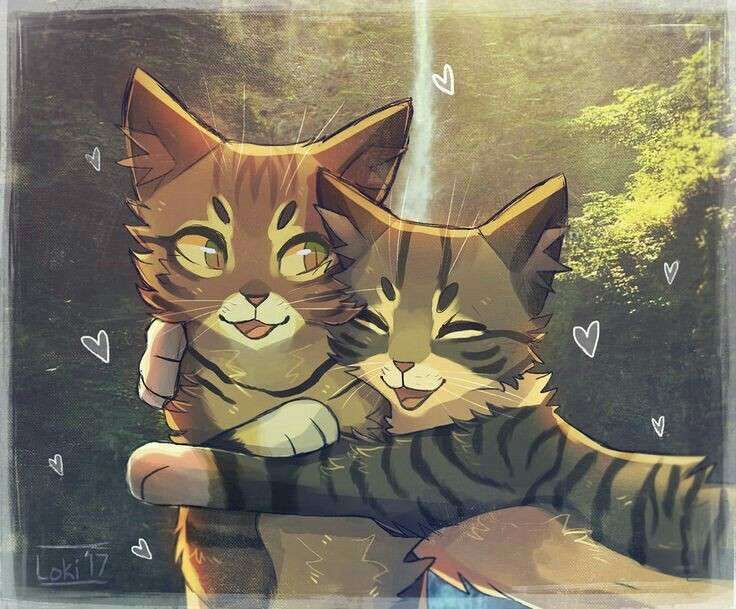 Leafpool and Mothwing puzzle online ze zdjęcia