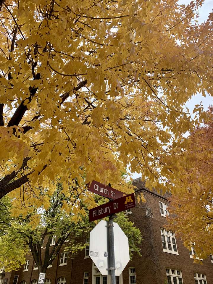Campus Fall Colors puzzle online