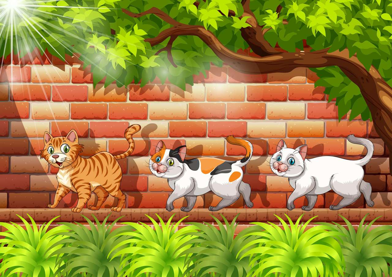 Trzy spacerujące koty puzzle ze zdjęcia