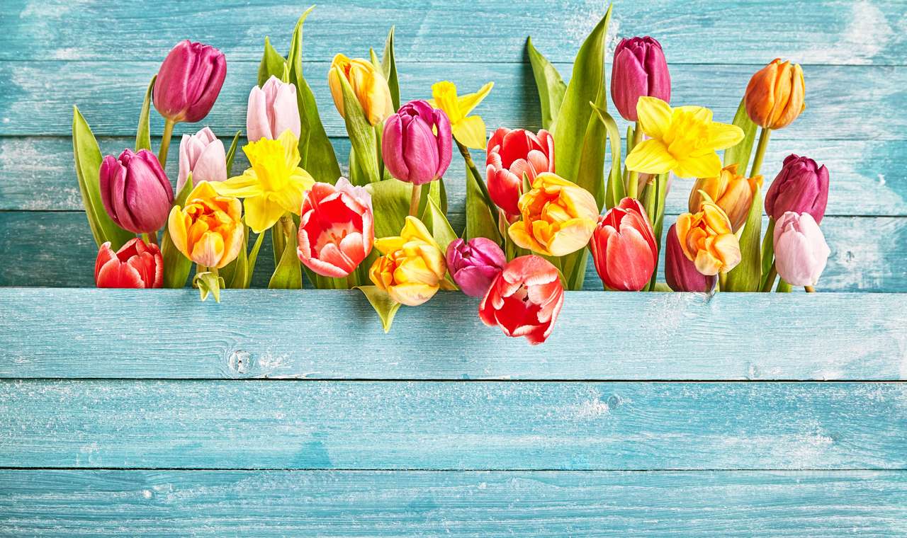 Wiosenne tulipany puzzle online ze zdjęcia