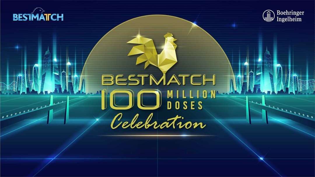Bestmatch. puzzle online ze zdjęcia