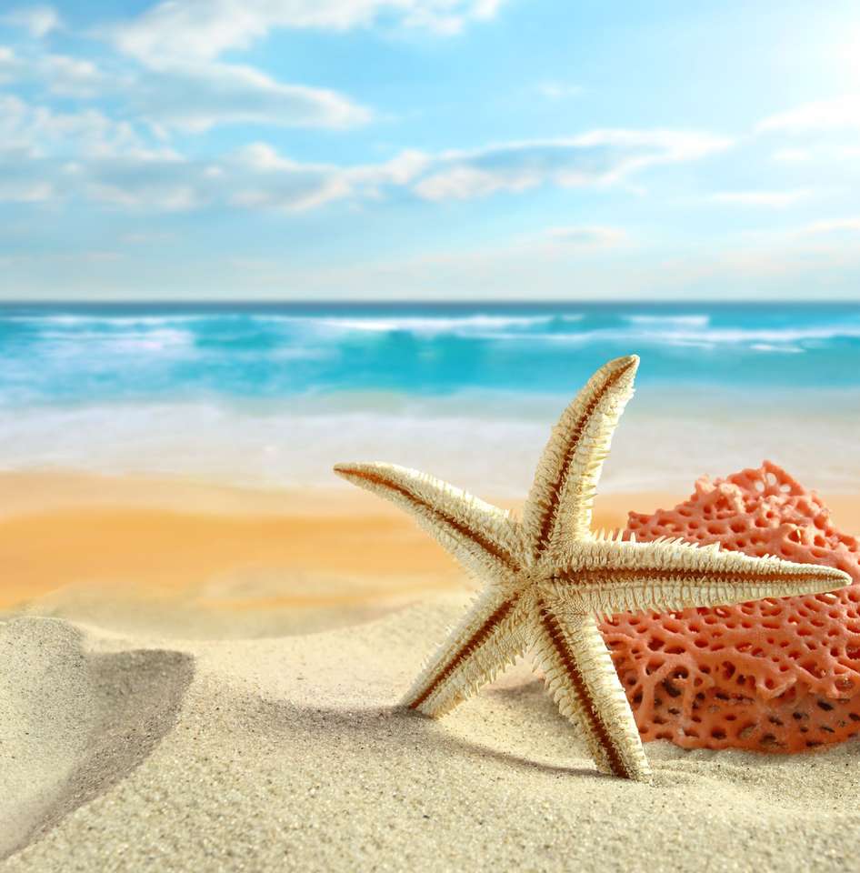 Rozgwiazda na plaży puzzle online ze zdjęcia