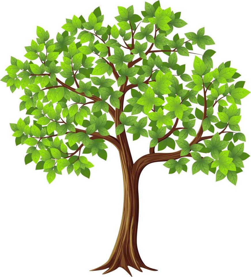 Zielone drzewo puzzle online ze zdjęcia