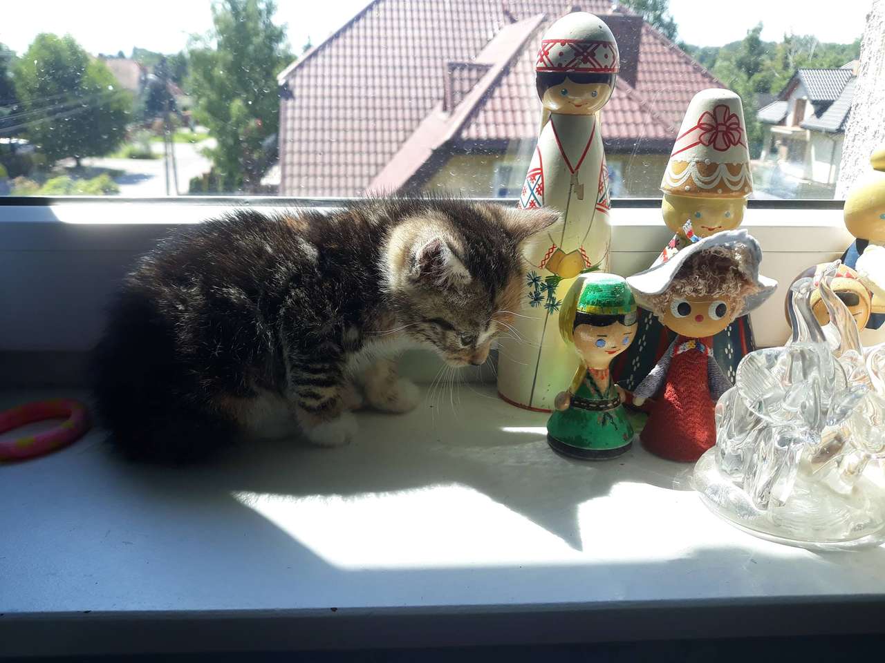 Florka malutka koteczka puzzle online ze zdjęcia