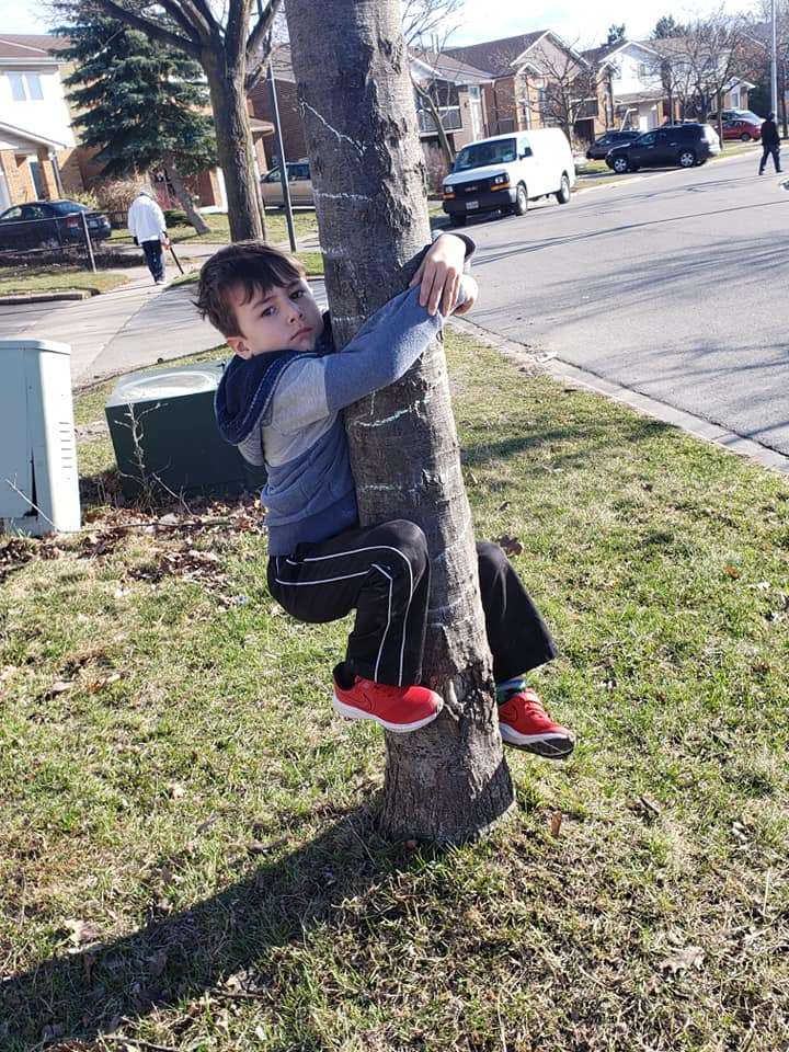 Logan na drzewie puzzle online ze zdjęcia