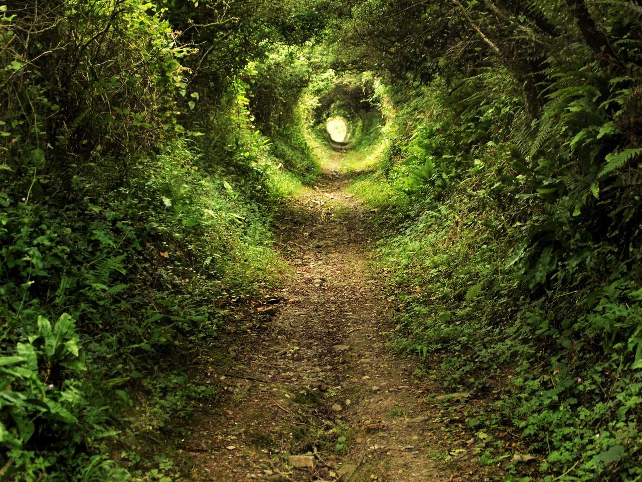 Tunel z zieleni puzzle online ze zdjęcia