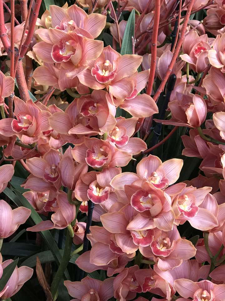 Różowe letnie kwiaty puzzle online