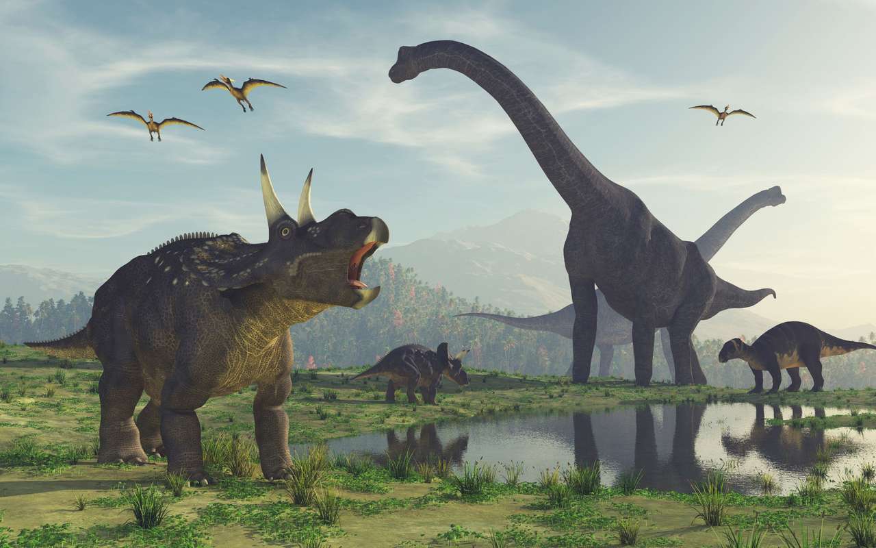 Różne dinozaury puzzle online