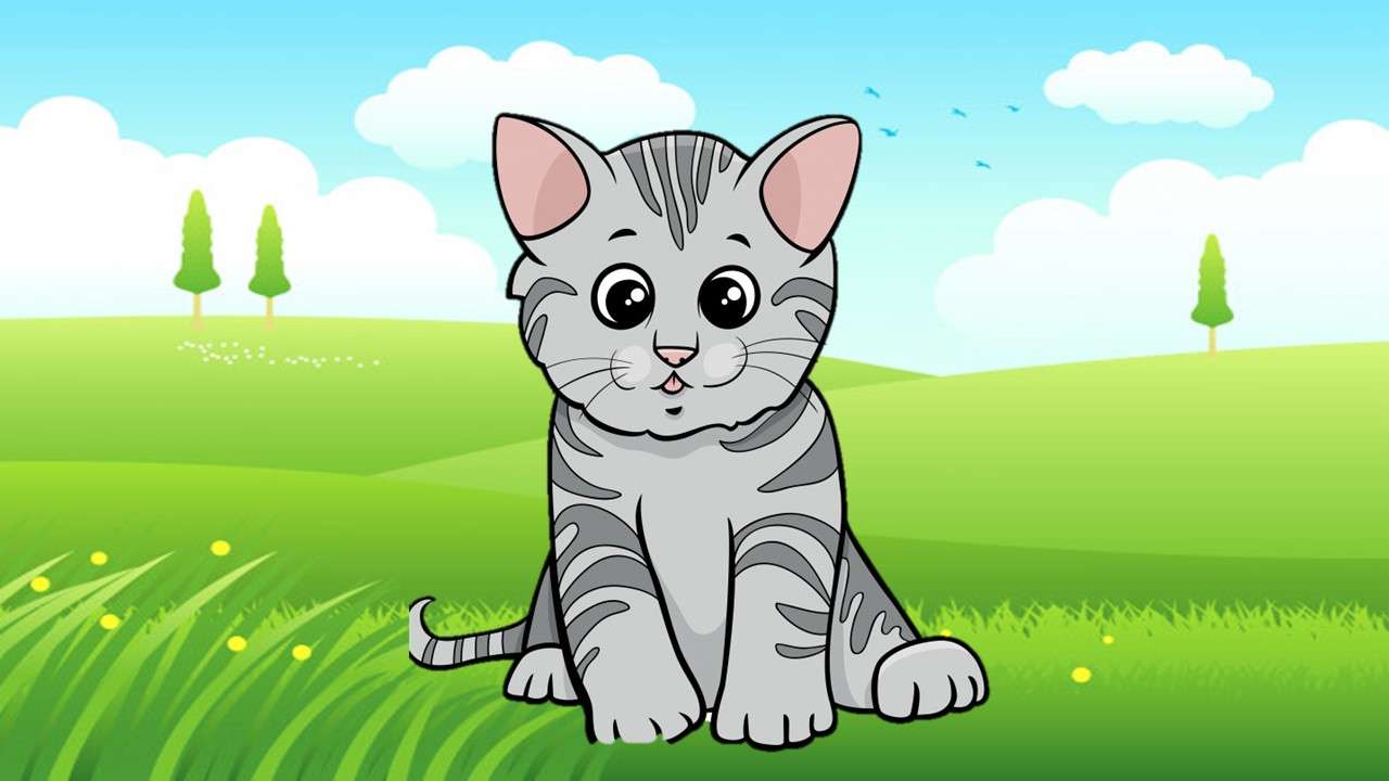 Gato Cat. puzzle online ze zdjęcia