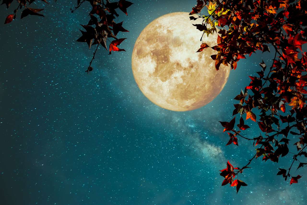 Jesienny księżyc puzzle online ze zdjęcia