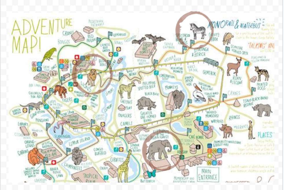 Mapa zoo puzzle online ze zdjęcia