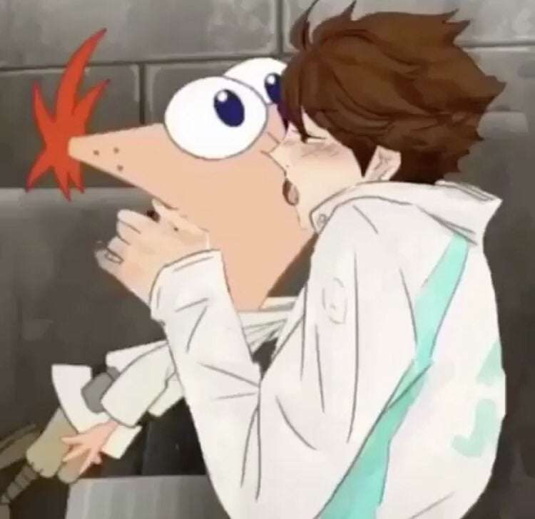 Phineas X Oikawa. puzzle online