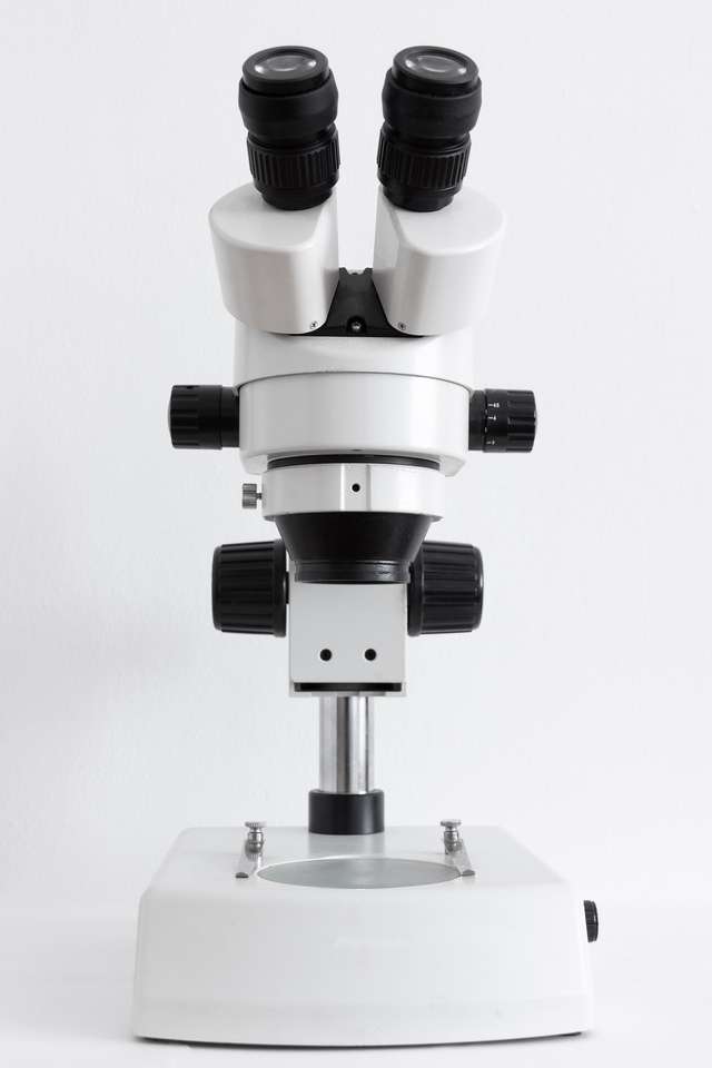 Mikroskop złożony puzzle online