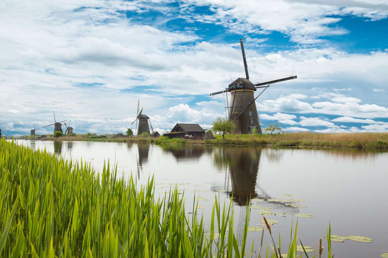 Młyny wiatrowe w Holandii puzzle online ze zdjęcia