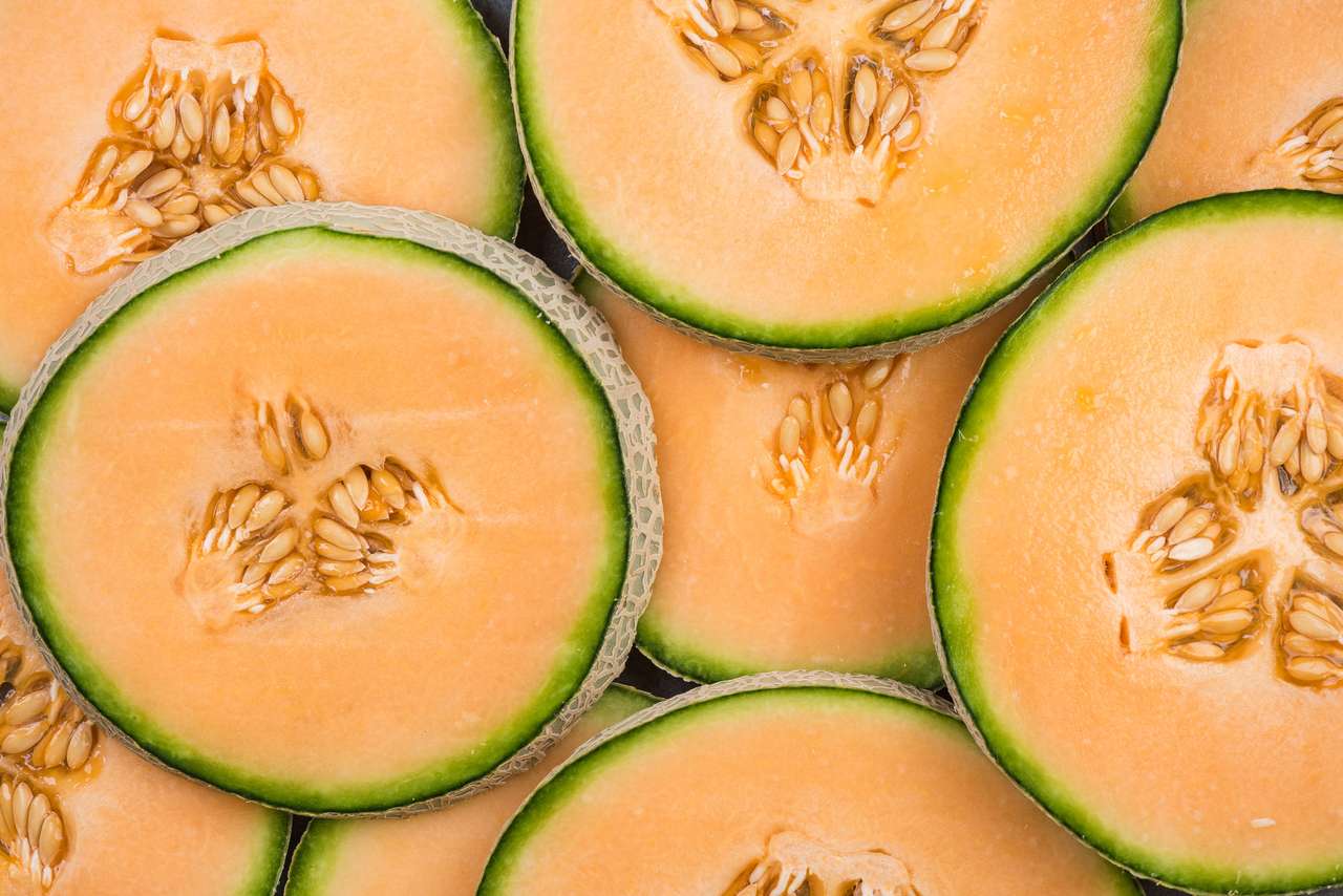Kantalupa melon. puzzle online