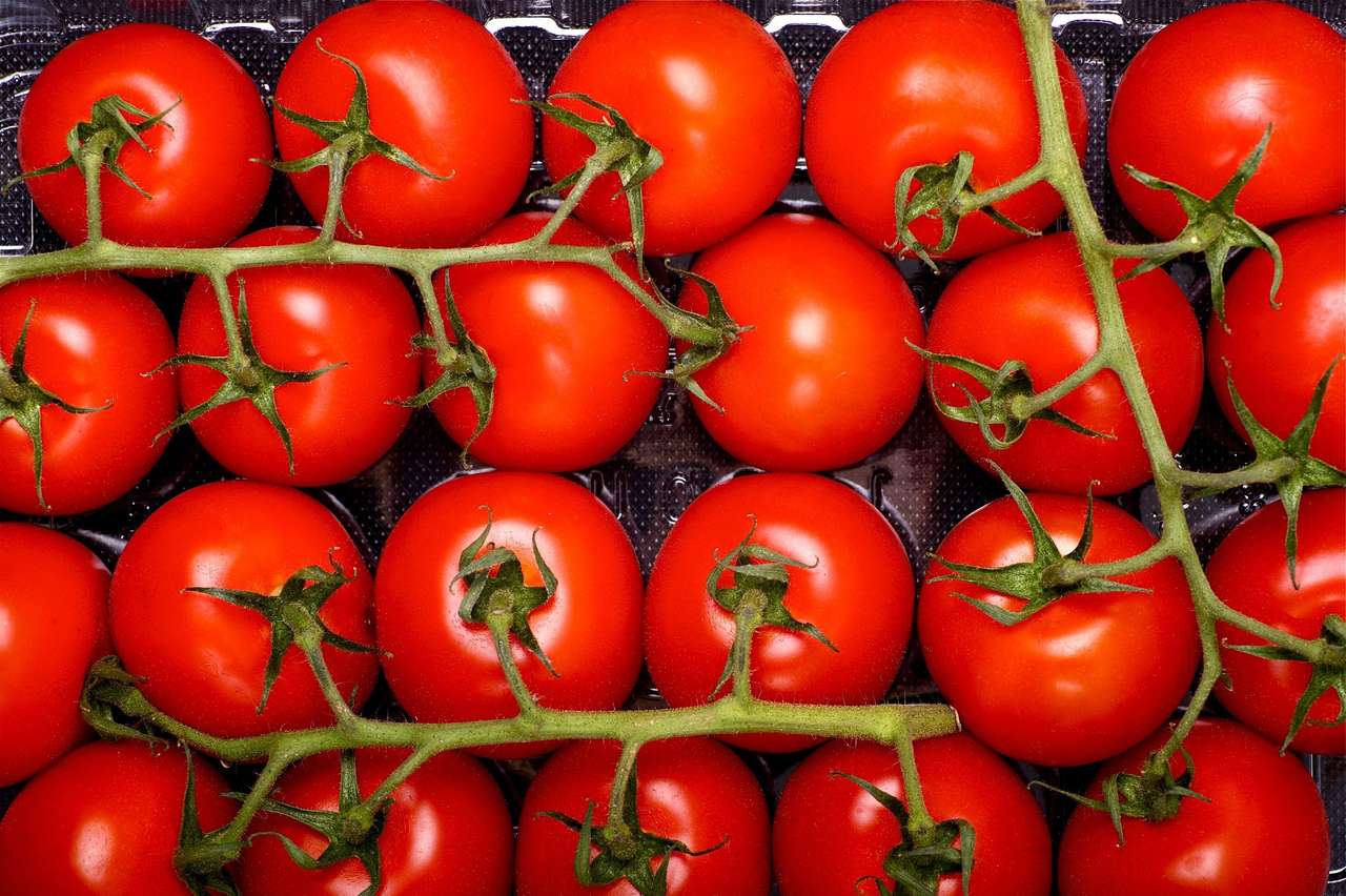 Soczyste pomidory puzzle online
