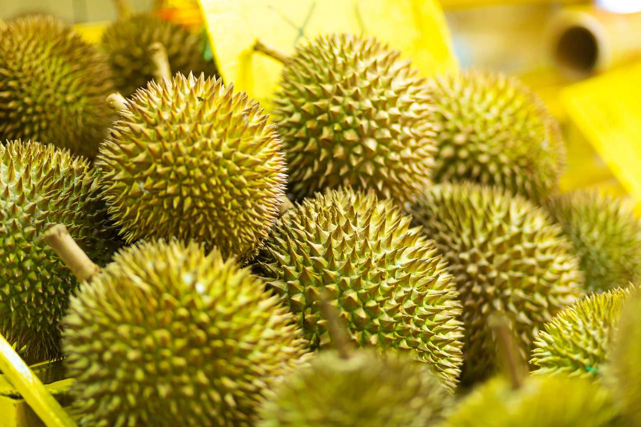 Śmierdzący owoc durian. puzzle online ze zdjęcia