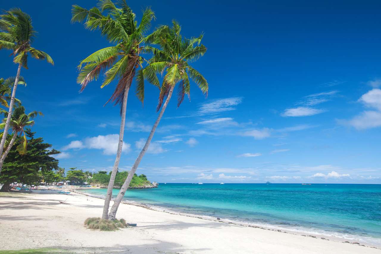 Tropikalna plaża puzzle online ze zdjęcia