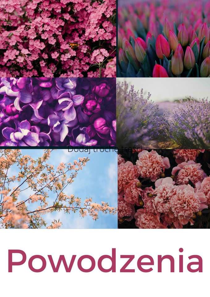 Kwiatki na łące puzzle online ze zdjęcia
