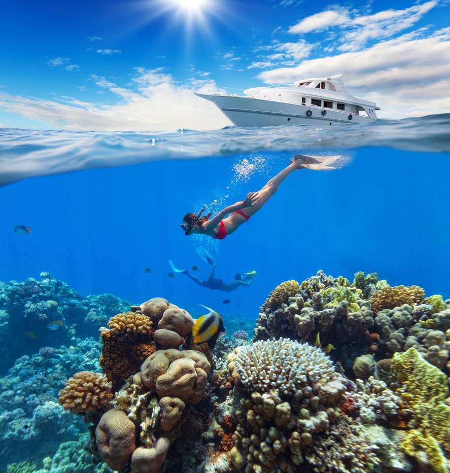 Nurek pływający na rafie koralowej puzzle online ze zdjęcia