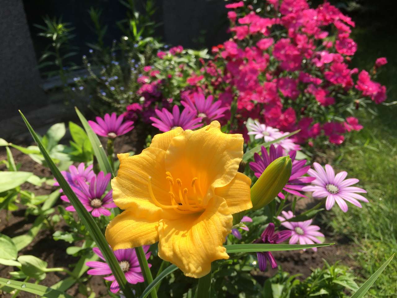 Letnie kwiaty puzzle online ze zdjęcia