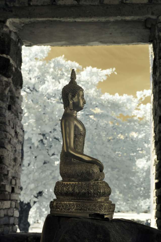 Budda w Parku Historycznym Ayutthaya puzzle ze zdjęcia