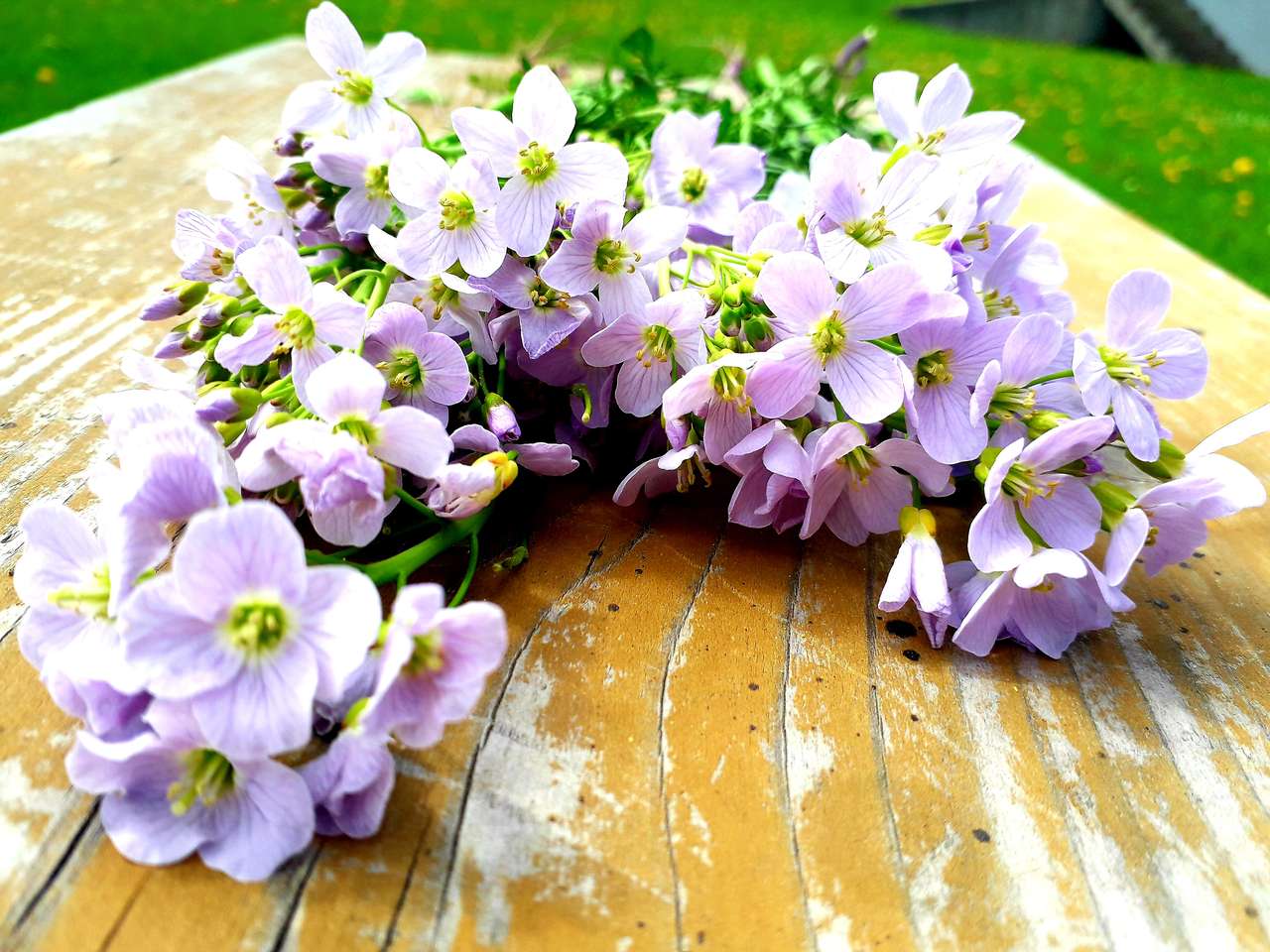 Kwiaty fioletowe puzzle online ze zdjęcia