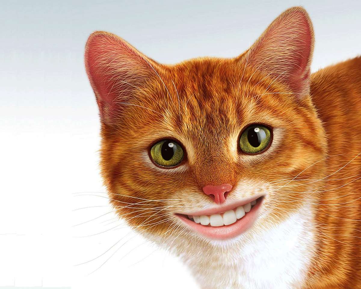 Smiley Cat! puzzle online ze zdjęcia