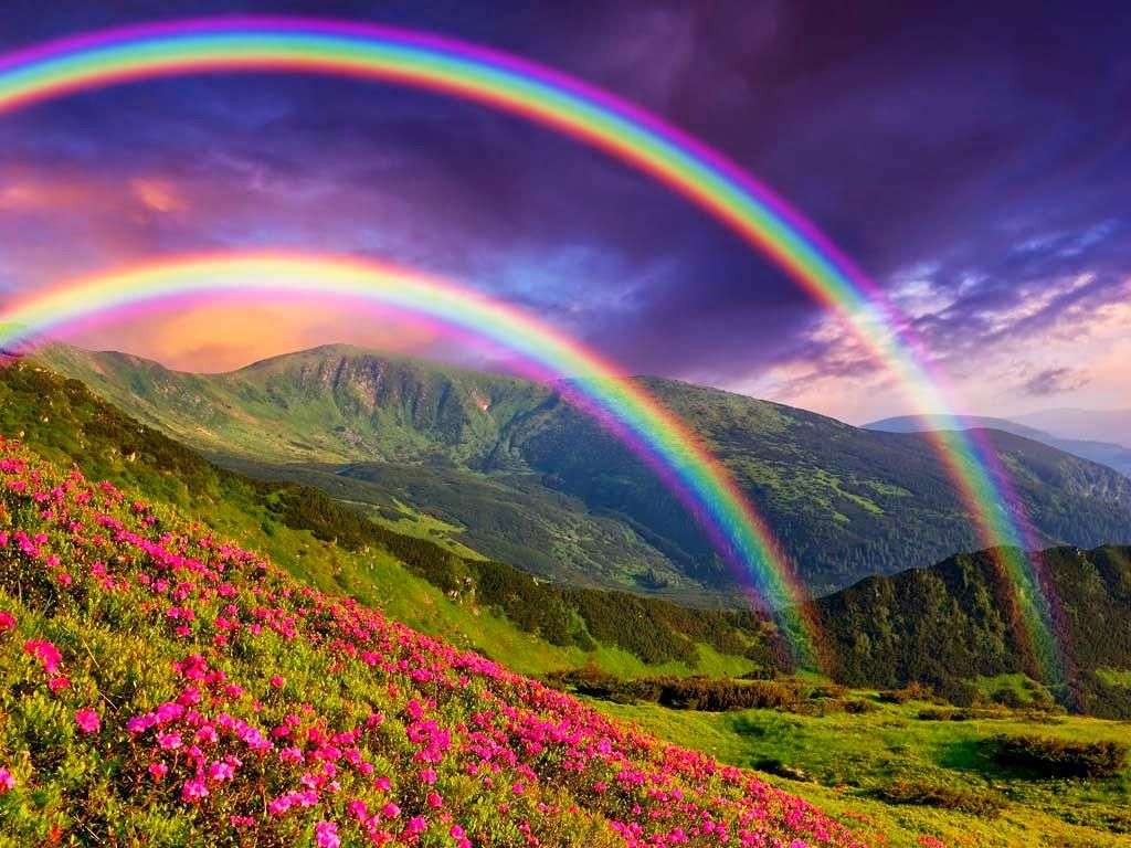 Natura Rainbow. puzzle online