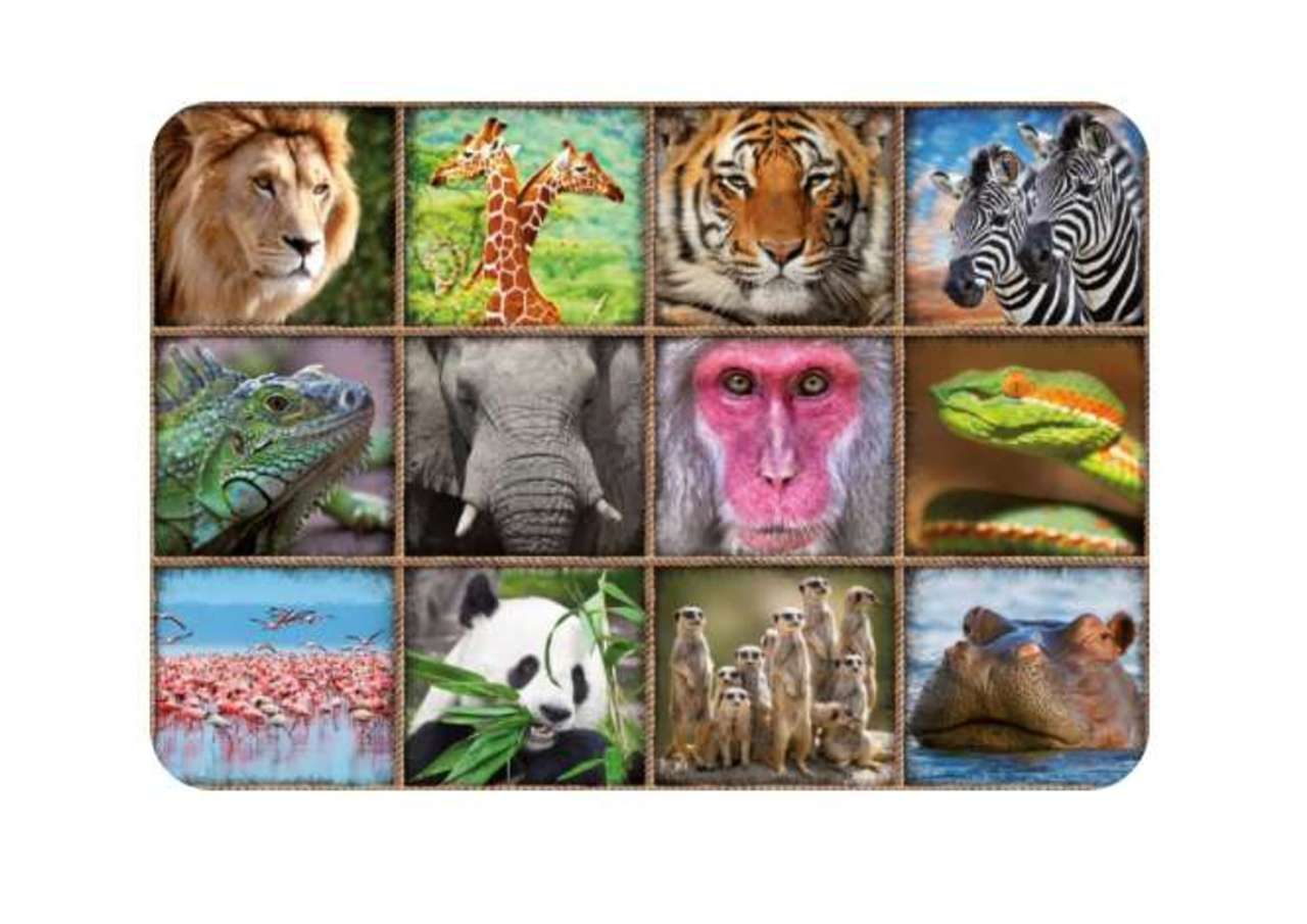Kolaż zwierząt. puzzle online ze zdjęcia
