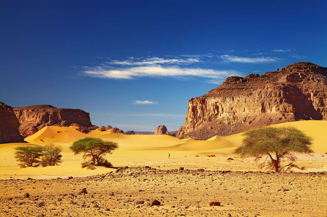 Sahara Desert, Tadrart, Algieria puzzle online ze zdjęcia