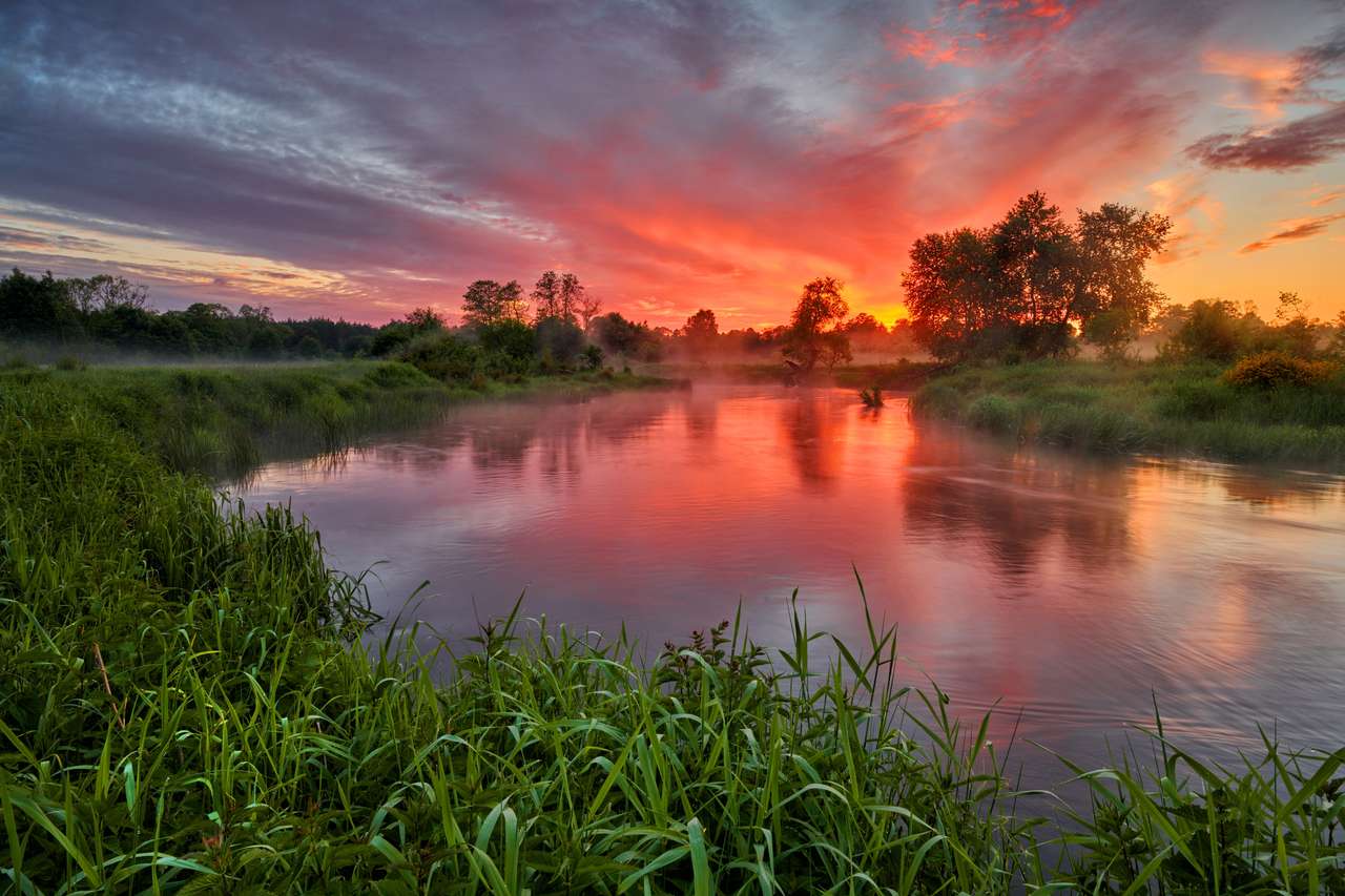 Piękny letni wschód słońca nad brzegami rzekami puzzle online