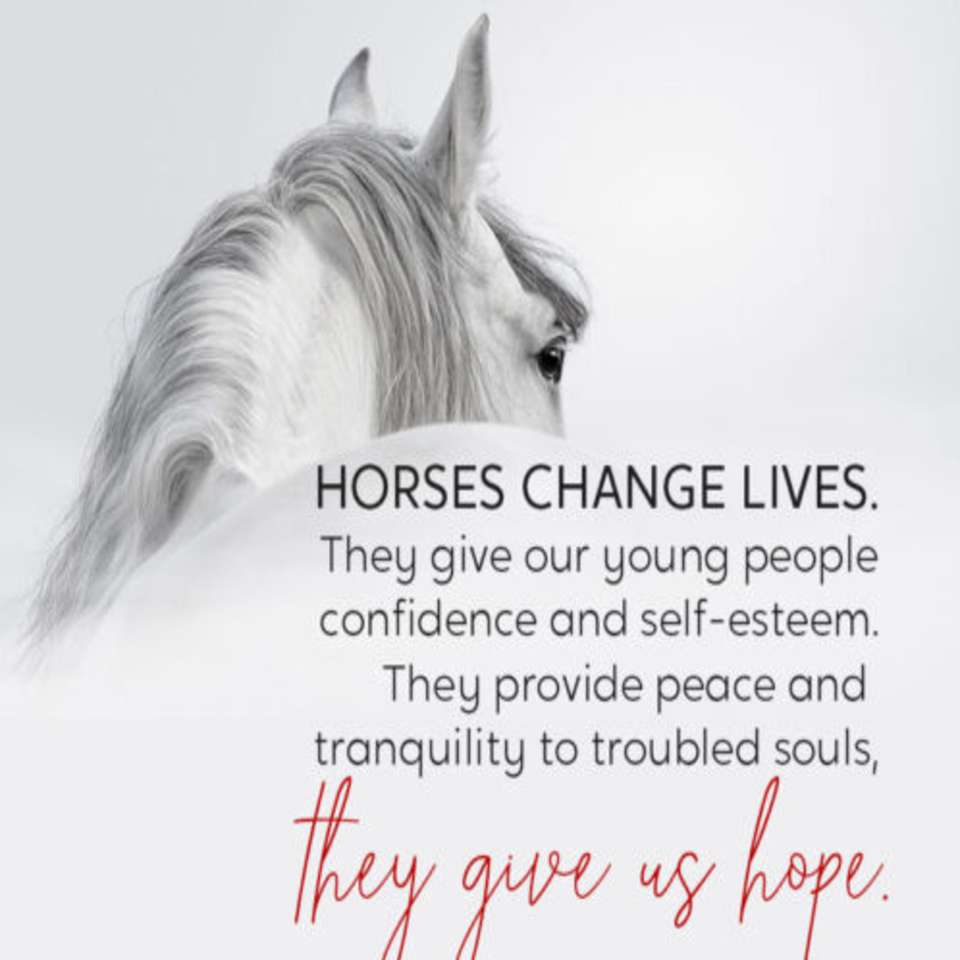 Koń zmienia życie puzzle online