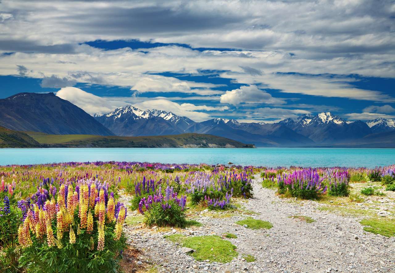 Jezioro Tekapo, Alpy Południowe, Nowa Zelandia puzzle online ze zdjęcia