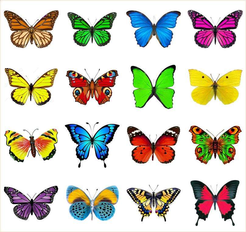 Barwne motyle puzzle online ze zdjęcia