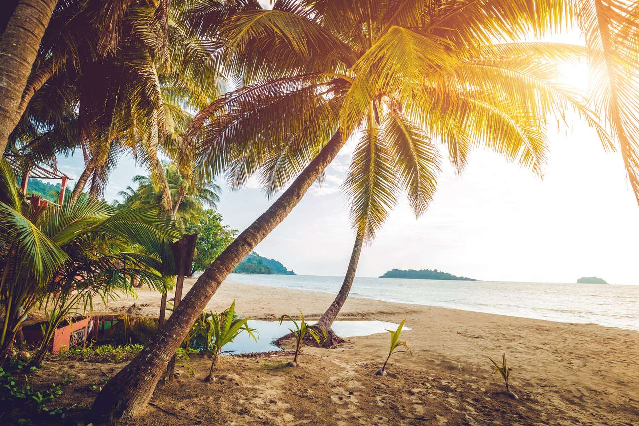 Piękna tropikalna plaża z palmami. Światło dzienne puzzle ze zdjęcia