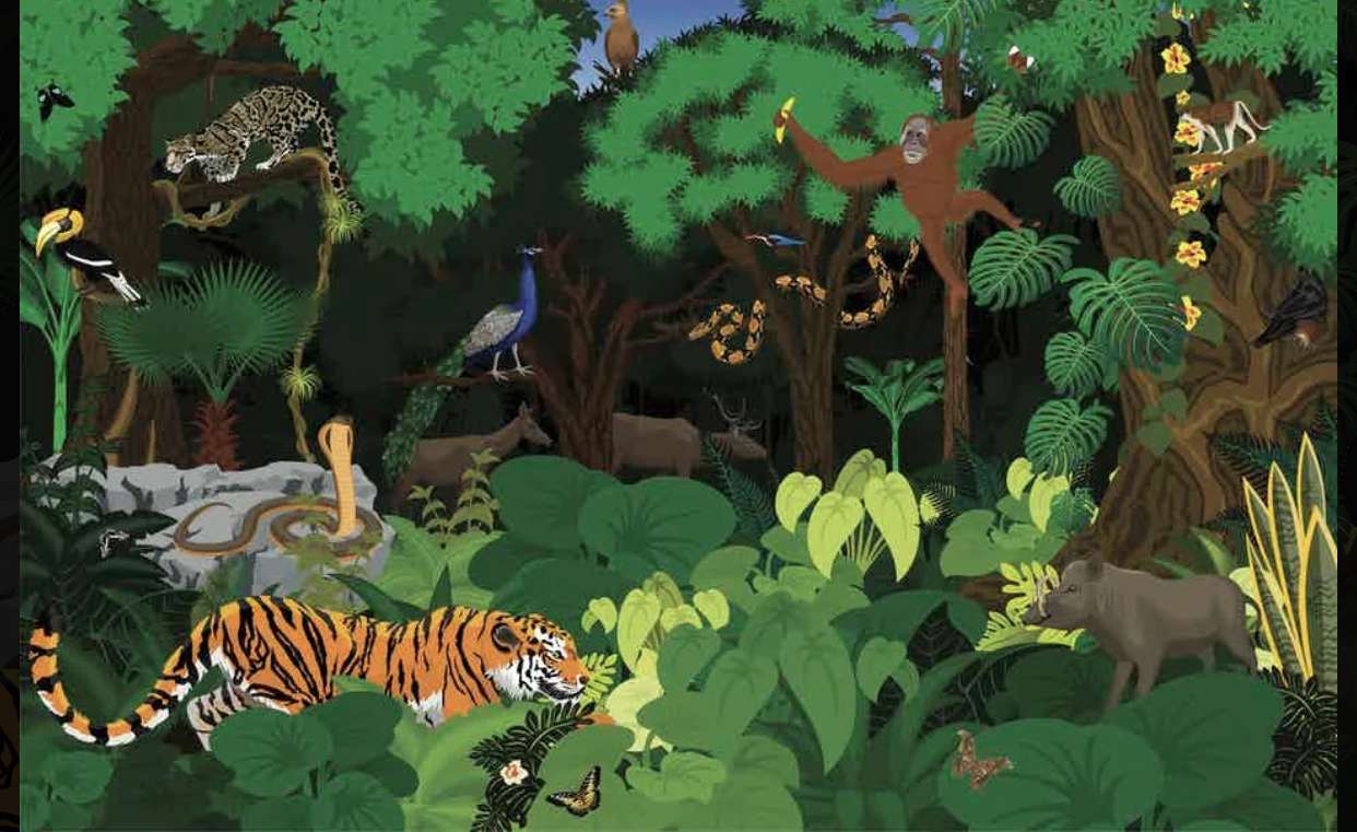 Puzzle z tropikalnym lasem deszczowym puzzle online ze zdjęcia
