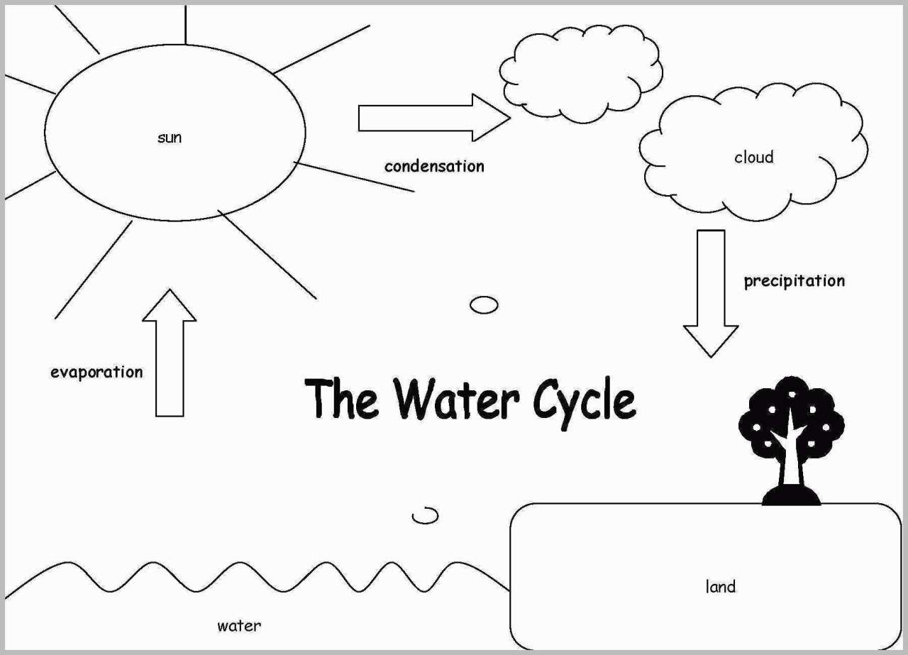 Łamigłówka z cyklem wodnym pierwszego stopnia Kinder puzzle online