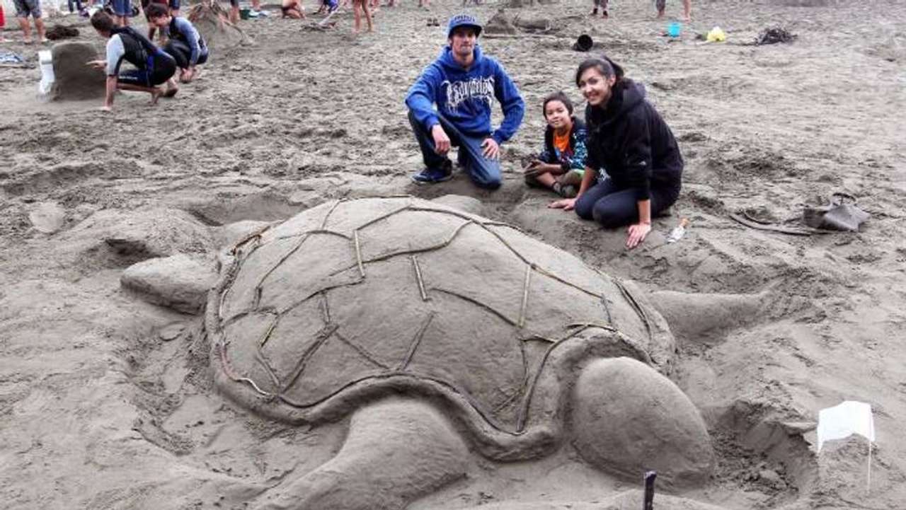 Żółw piaskowy puzzle online