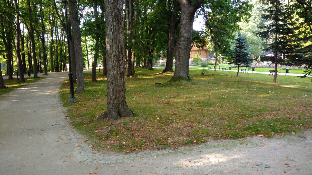 Park w Cieplicach puzzle online ze zdjęcia