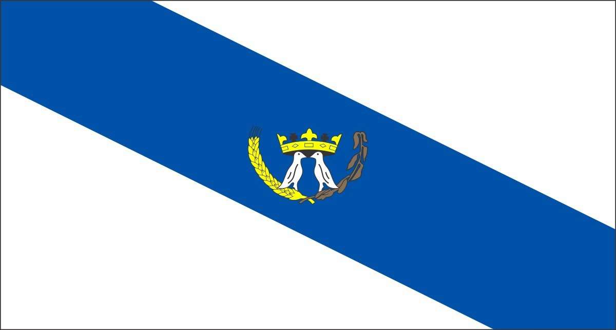 Flaga Ponta Grossa puzzle online