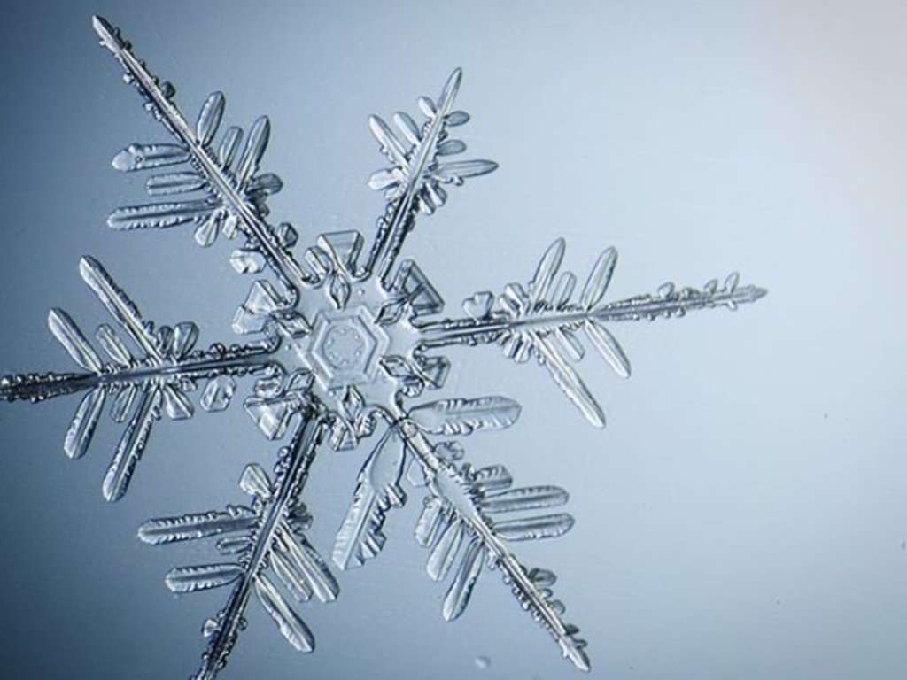 płatek śniegu puzzle online ze zdjęcia